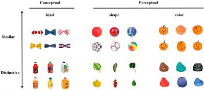 Which factor affects the storage of real-world object information in visual working memory: perceptual or conceptual information?